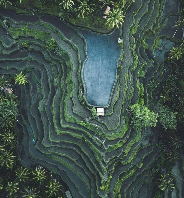 Lüks Bali Turu - Görsel 7