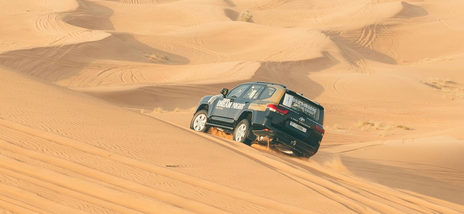 Lüks Dubai Turu - Görsel 8